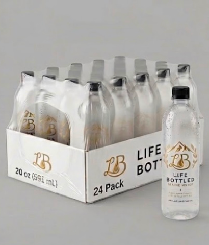 Life Bottled 20 oz (591ml) Pure Alpine Spring Water Luxury Glass Bottle